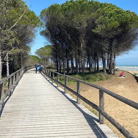 Cozy 300 M From The Sea Apartment